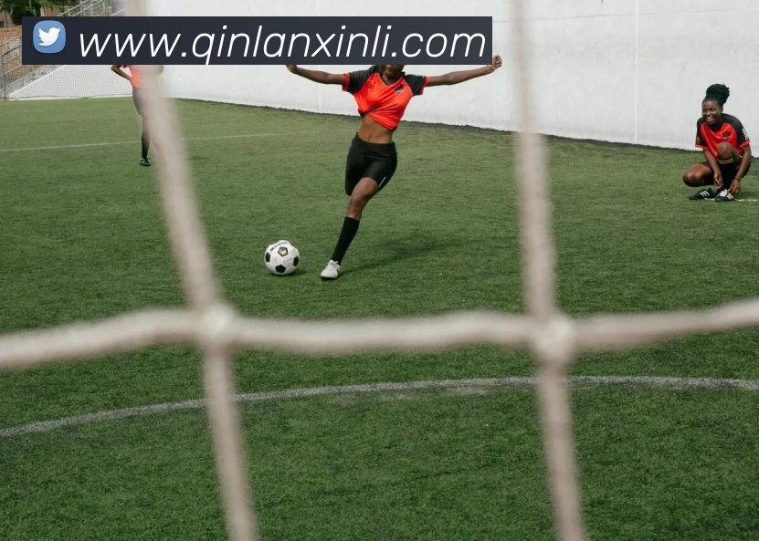 多媒体互动体验